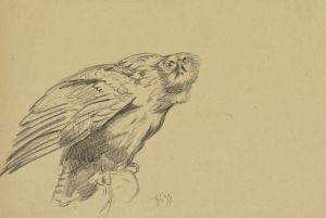 Harpy