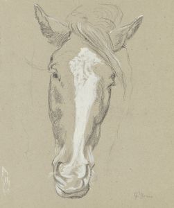 Horse head