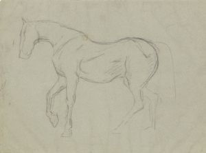 Horse study