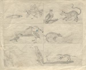 Sketchbook