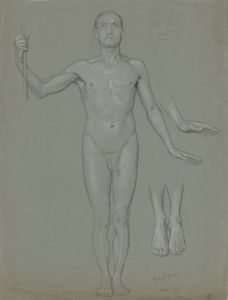 Standing male nude