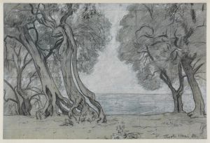 Ölbäume bei Tivoli