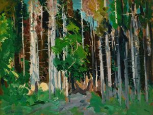 Through the Trees, Monhegan Island, Maine