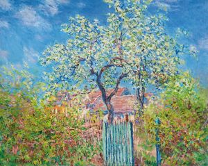 Poirier En Fleurs