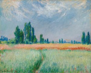 Champ De Blé