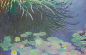 Nymphéas Avec Reflets De Hautes Herbes