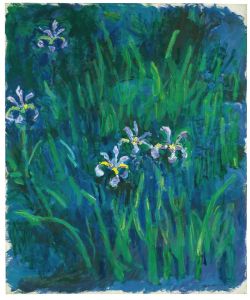Iris