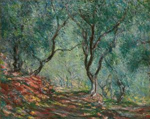 Bois d’oliviers au jardin Moreno