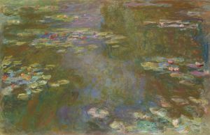 Water Lily Pond