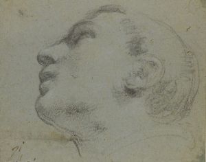 The head of a man turned to the left