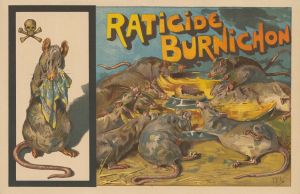Raticide, Burnichon