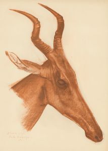 Dessins et peintures d’Afrique pl 21