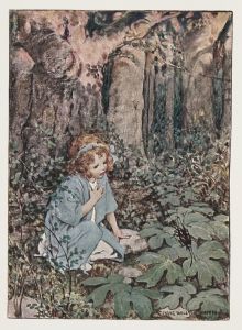 Bugs and wings and other things – frontispiece