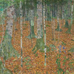 Birch Forest