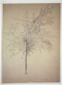 A tree