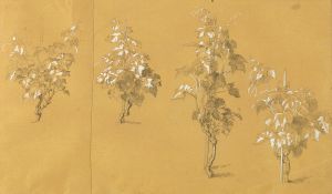 Weinstock, Studie zu ‘Hermann und Dorothea im Weinberg’