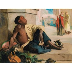Tortoise’s seller in Venice
