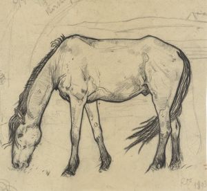 Grazend paard te Noordwijk
