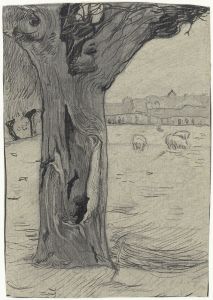 Knotwilg in een weidelandschap