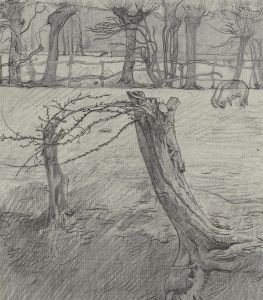 Weidelandschap met wilgen