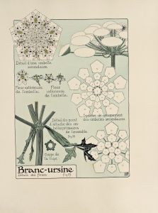 Branc-ursine.