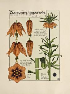 Couronne Imperiale