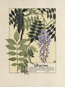 Glycine