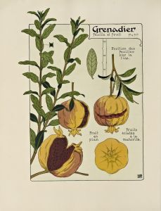 Grenadier