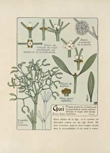 Gui