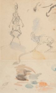 Anatomical studies of a goat