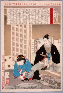 The Tokugawa Princess Yōhime