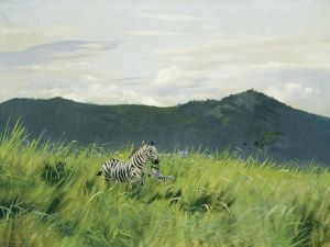 Zebra On The Steppe