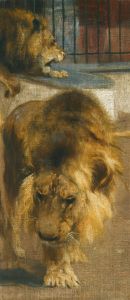 Lions