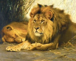 Resting Lions