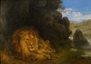 Two Lions In A Cave