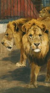 Lions