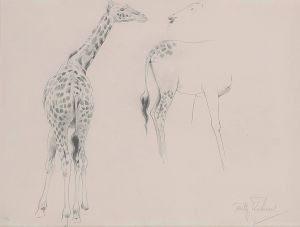 A study of two giraffes