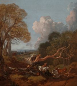 The Fallen Tree