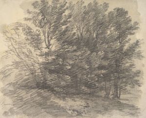 A Clump of Trees