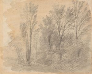 Study of Trees