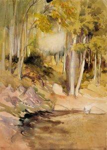 In the Woods