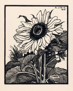 Zonnebloem