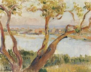 Vue D’antibes