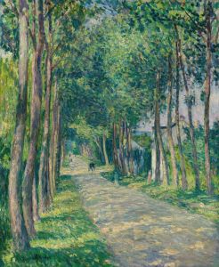 Attelage Sur Une Route Ensoleillée