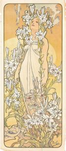 The Lily