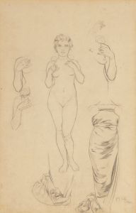 Preliminary design for ‘The Rose’