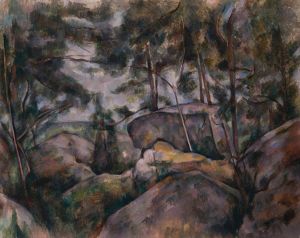 Rocks in the Forest