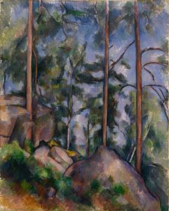 Pines and Rocks