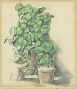 Geraniums