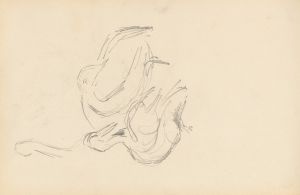 Pelicans